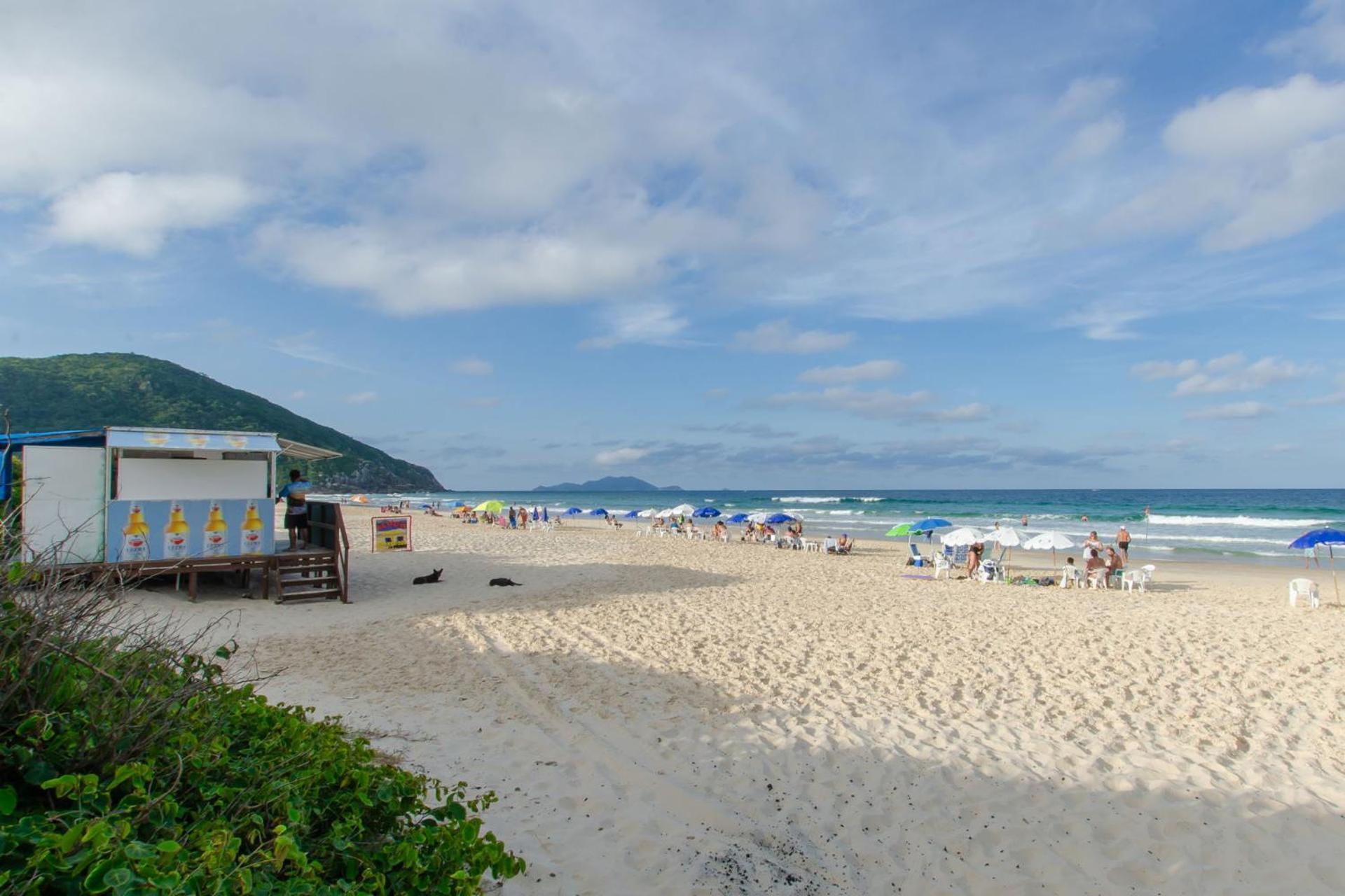 Aconchego Com Piscina A 450M Da Praia Vc1555 Lejlighed Florianópolis Eksteriør billede